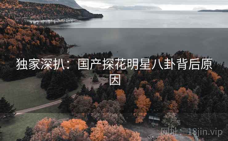 独家深扒：国产探花明星八卦背后原因