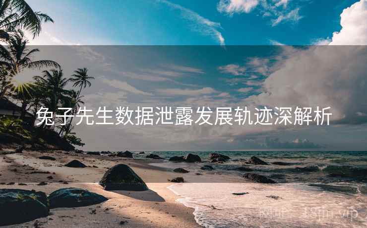 兔子先生数据泄露发展轨迹深解析