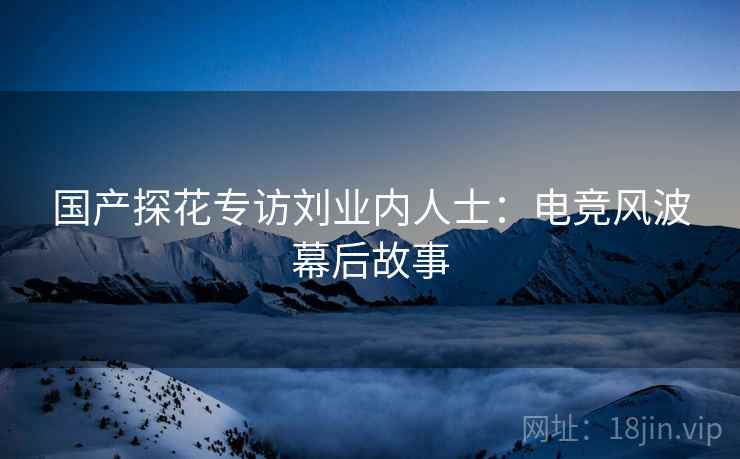 国产探花专访刘业内人士：电竞风波幕后故事