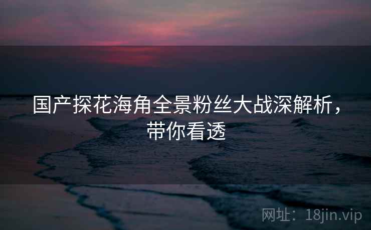 国产探花海角全景粉丝大战深解析，带你看透
