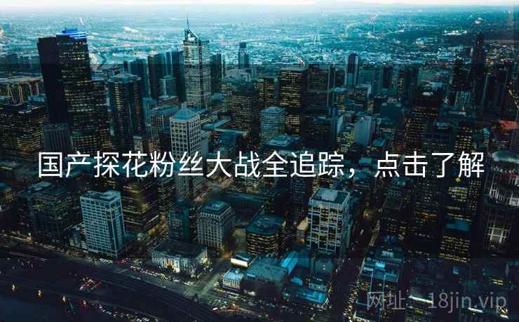 国产探花粉丝大战全追踪，点击了解
