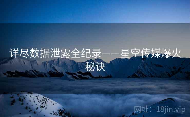 详尽数据泄露全纪录——星空传媒爆火秘诀