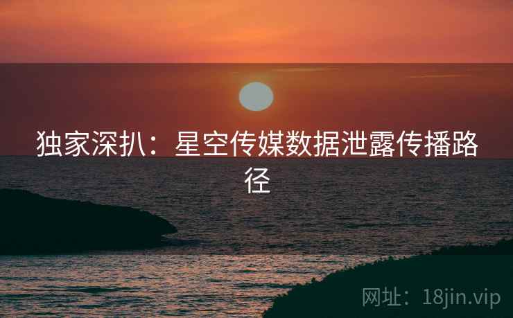 独家深扒：星空传媒数据泄露传播路径