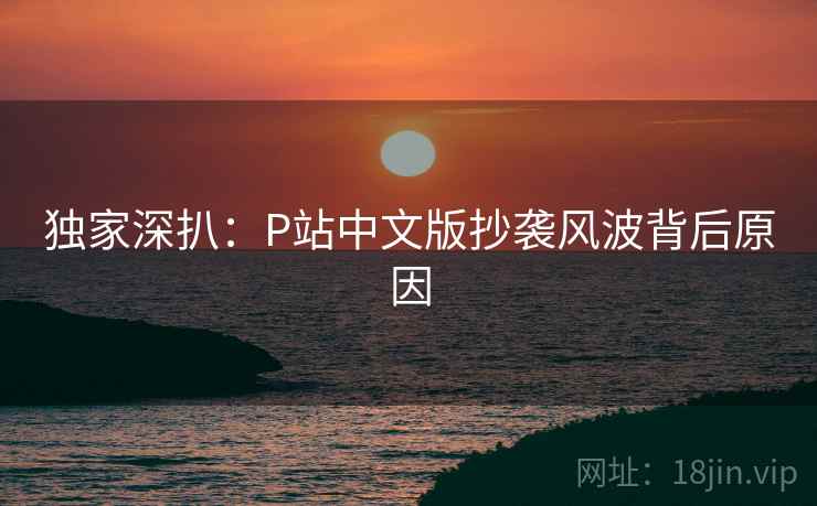 独家深扒：P站中文版抄袭风波背后原因