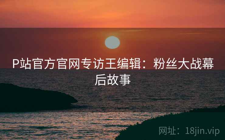 P站官方官网专访王编辑：粉丝大战幕后故事