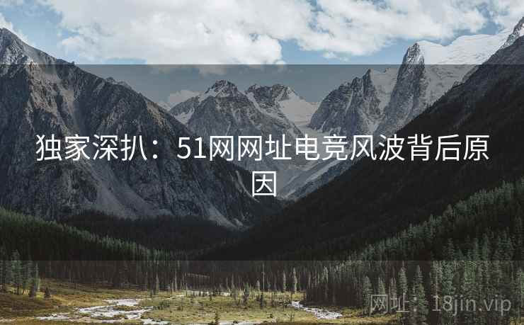 独家深扒：51网网址电竞风波背后原因