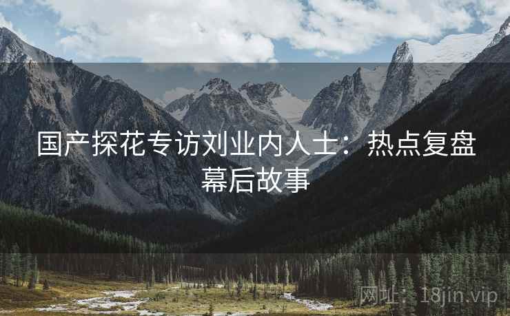 国产探花专访刘业内人士：热点复盘幕后故事