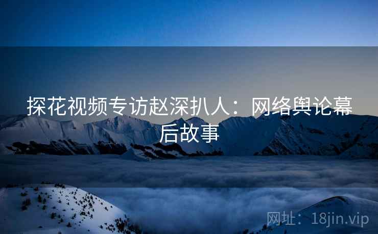 探花视频专访赵深扒人：网络舆论幕后故事