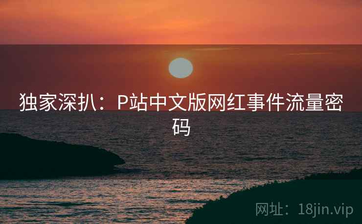 独家深扒：P站中文版网红事件流量密码