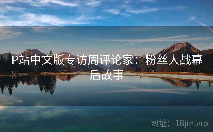 P站中文版专访周评论家：粉丝大战幕后故事