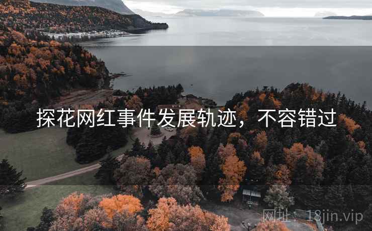 探花网红事件发展轨迹，不容错过
