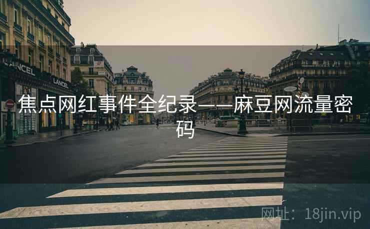 焦点网红事件全纪录——麻豆网流量密码